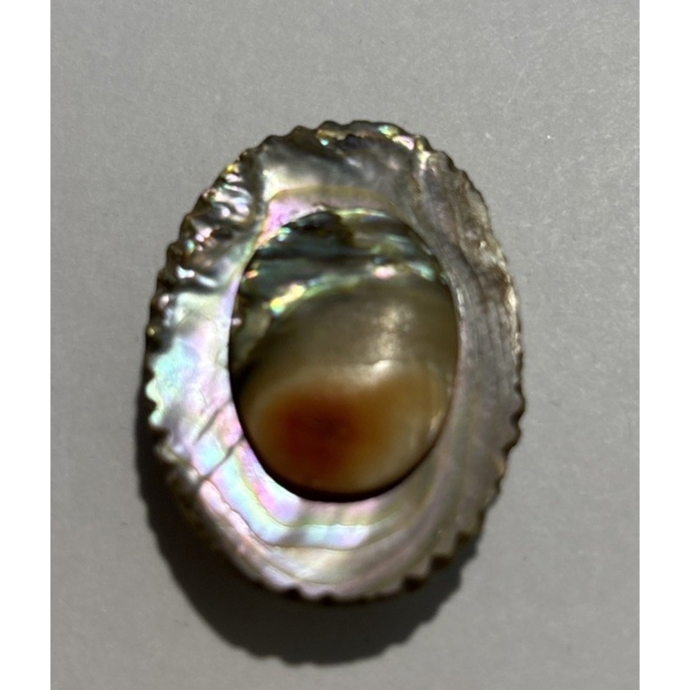 Vintage Abalone Shell Oval Pin Brooch 1-1/4" Rare